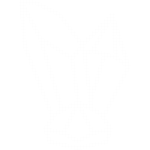 white line icon of crystal
